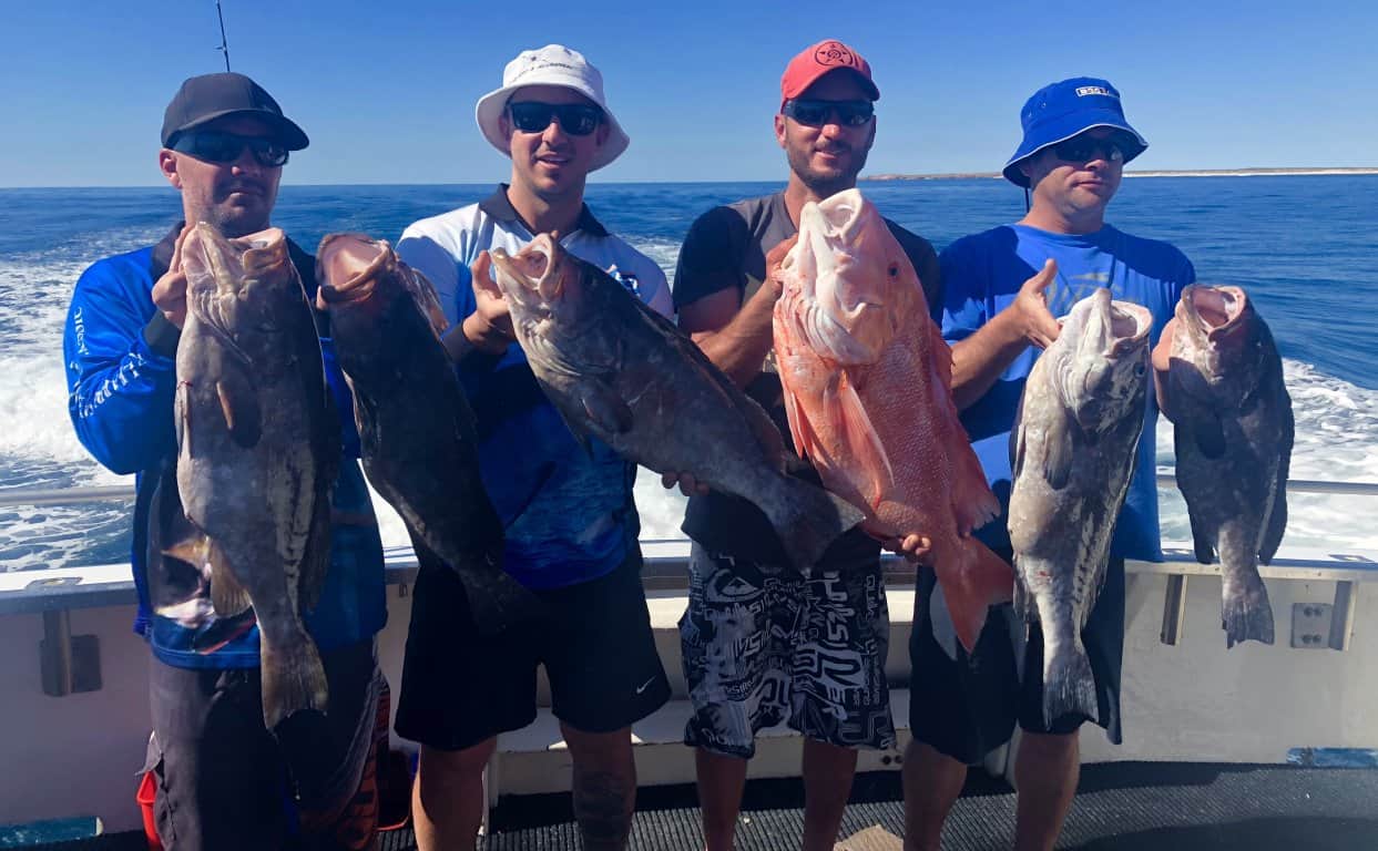 Gallery - Blue Horizon Charters | Fishing Charters Perth