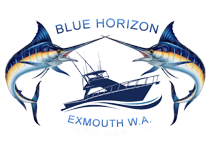 Blue Horizon Charters | fishing charters perth