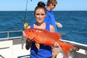 Caugh large red snapper