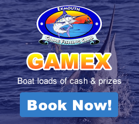 gamex-blue-horizon-charters | deep sea fishing